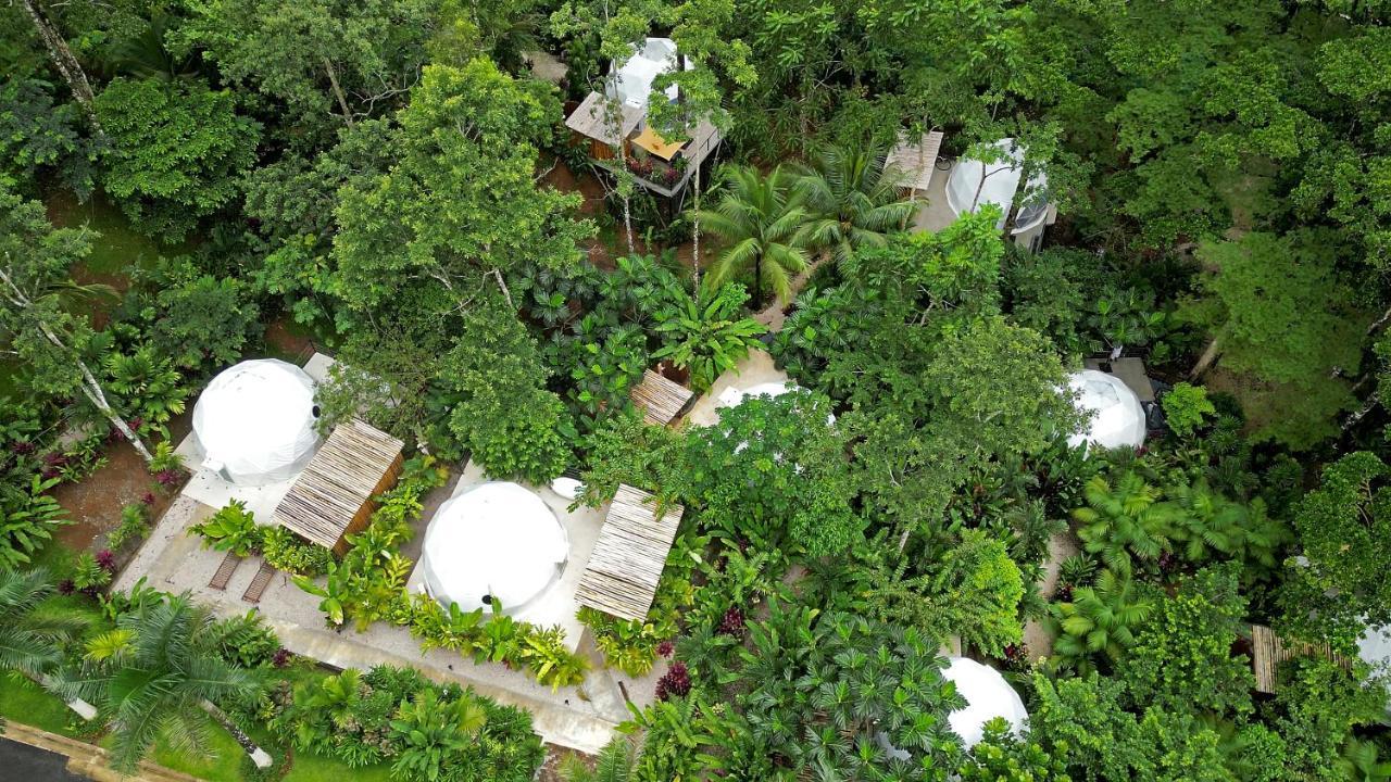 Palo Alto Glamping Hotel Quesada  Eksteriør billede