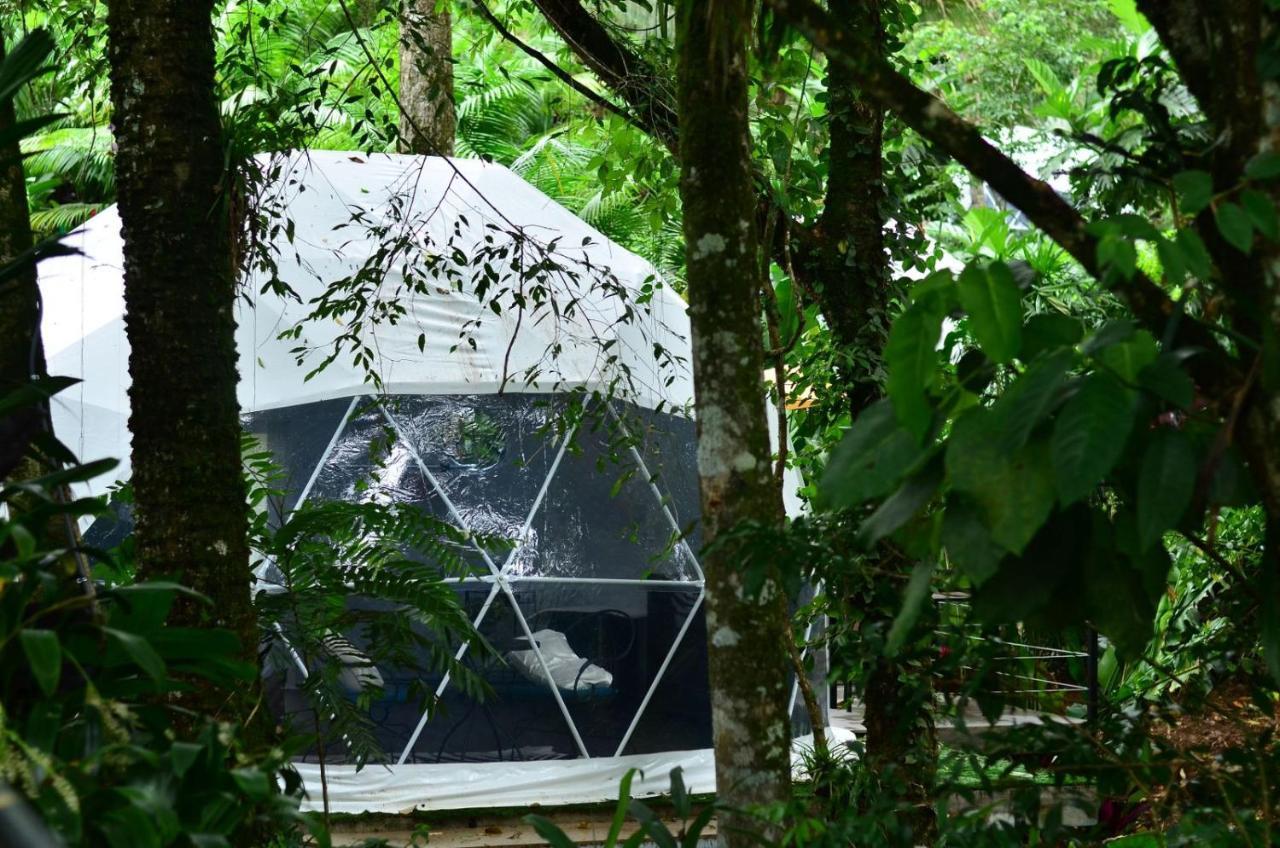 Palo Alto Glamping Hotel Quesada  Eksteriør billede