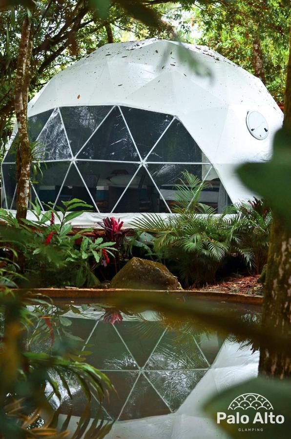 Palo Alto Glamping Hotel Quesada  Eksteriør billede
