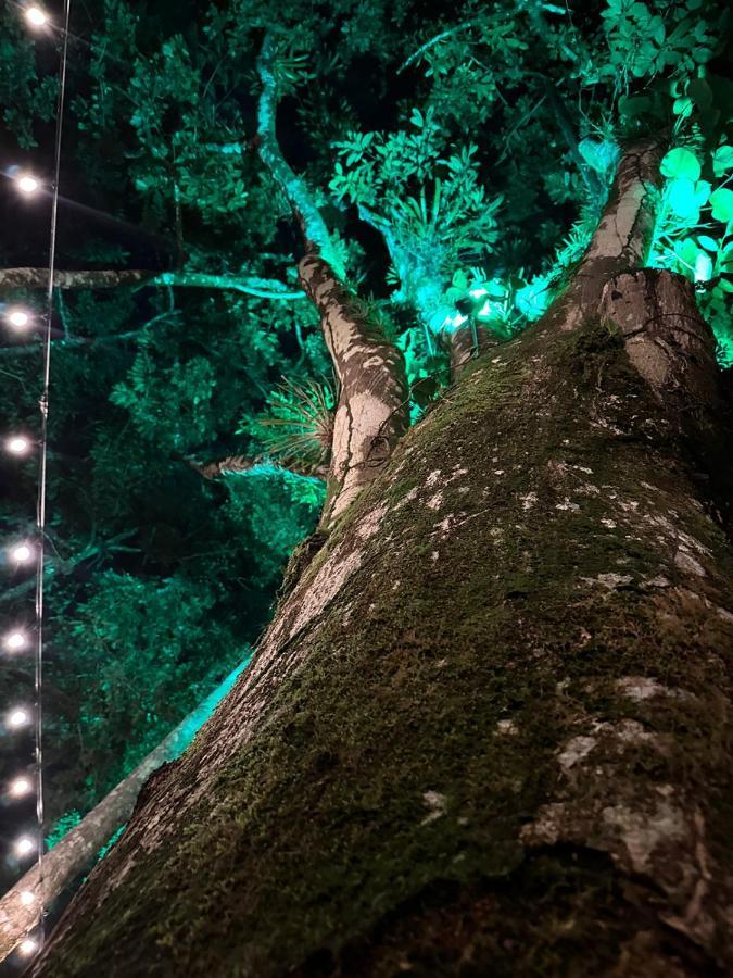 Palo Alto Glamping Hotel Quesada  Eksteriør billede