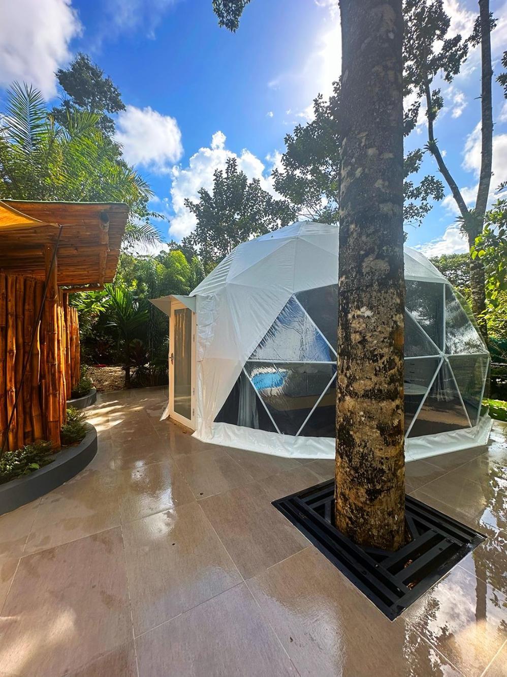 Palo Alto Glamping Hotel Quesada  Værelse billede